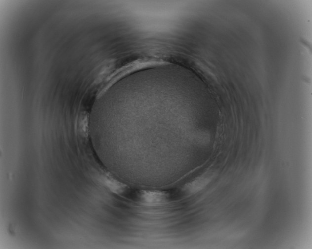 X0000097670336200803071600