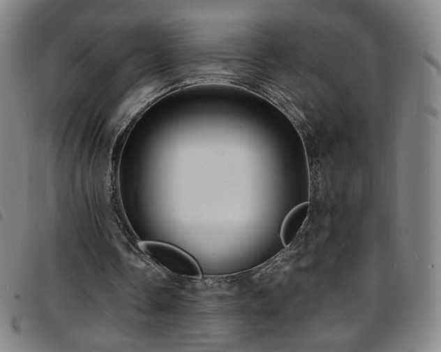 X0000097670338200803071559