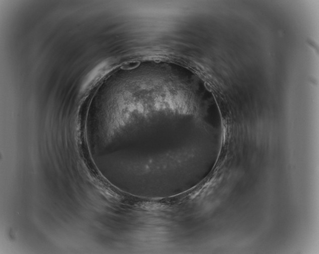 X0000097670339200803071559