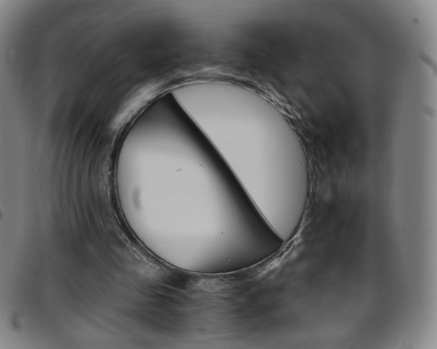 X0000097670341200803071559