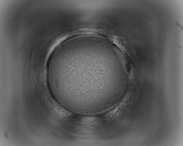X0000097670342200803071559