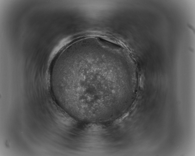 X0000097670343200803071559