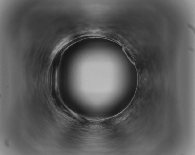 X0000097670344200803071559