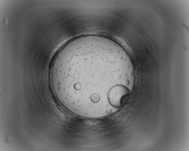 X0000097670346200803071600