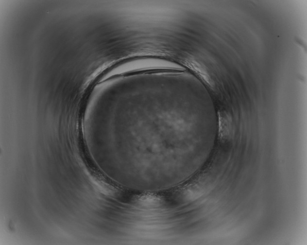 X0000097670348200803071600