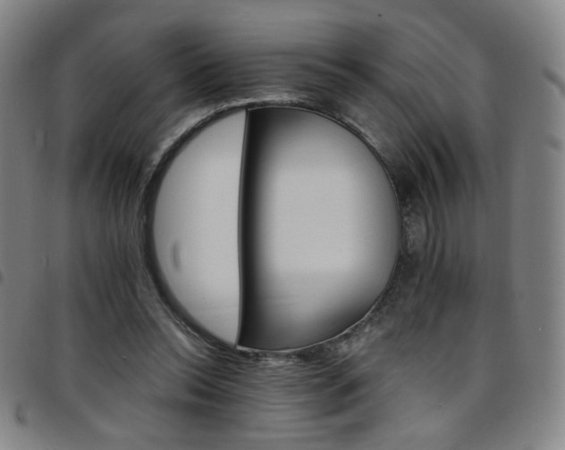 X0000097670350200803071600