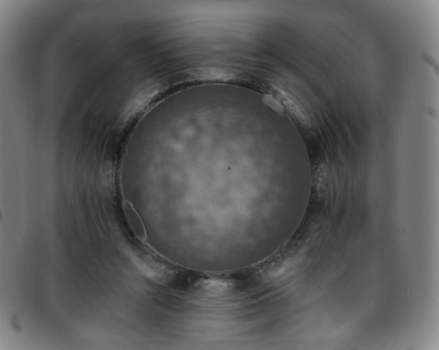 X0000097670352200803071600