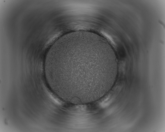 X0000097670353200803071600