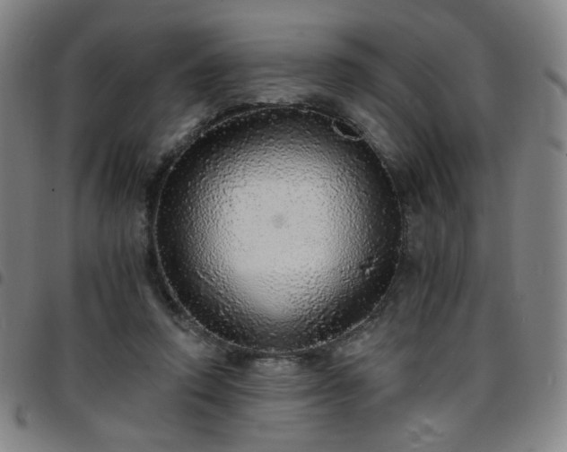X0000097670354200803071600