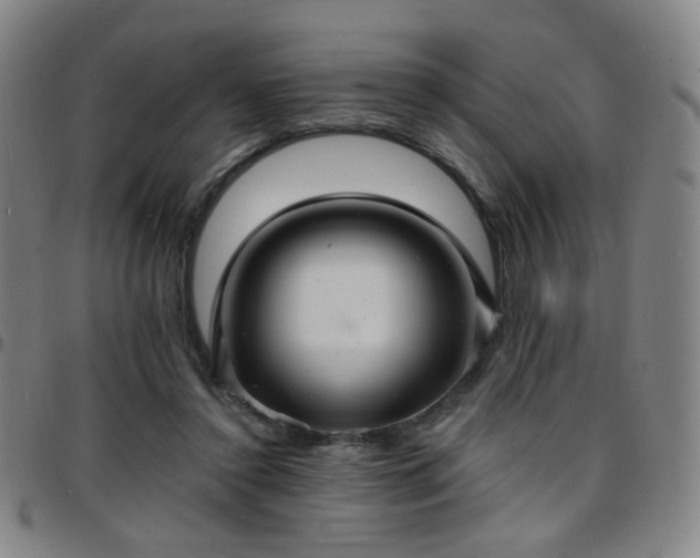 X0000097670356200803071600