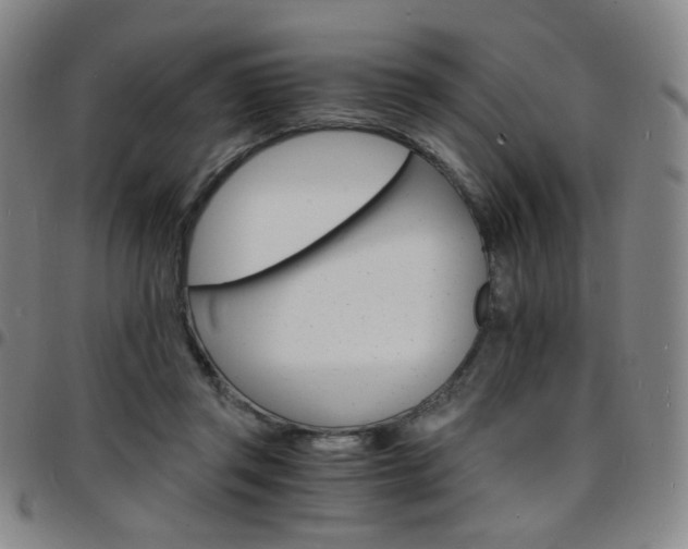 X0000097670357200803071600