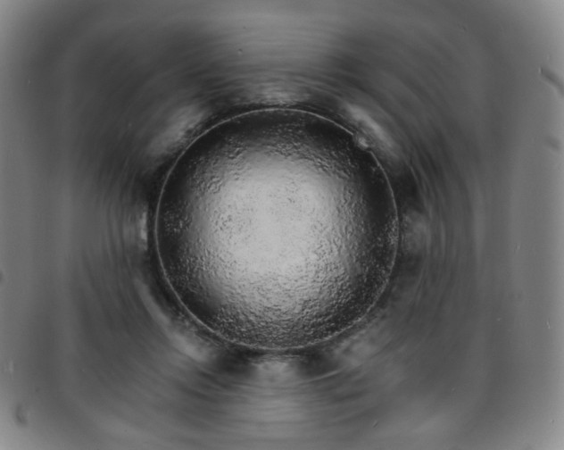 X0000097670358200803071600