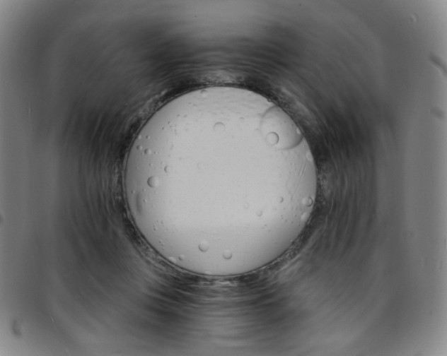 X0000097670359200803071600