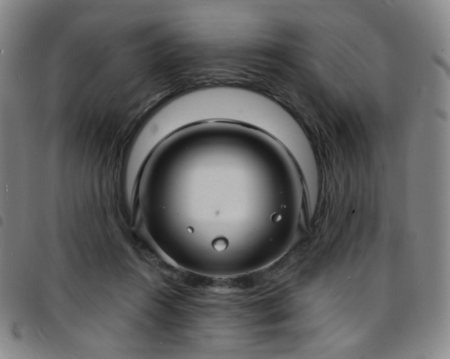 X0000097670360200803071600