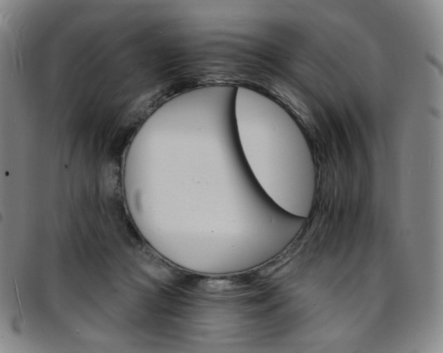 X0000097670361200803071600