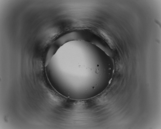 X0000097670362200803071600
