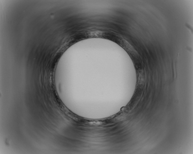 X0000097670363200803071600