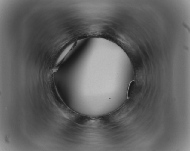X0000097670364200803071600