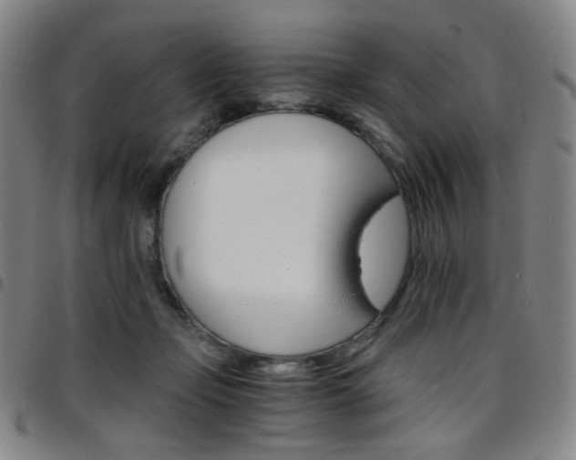 X0000097670365200803071600