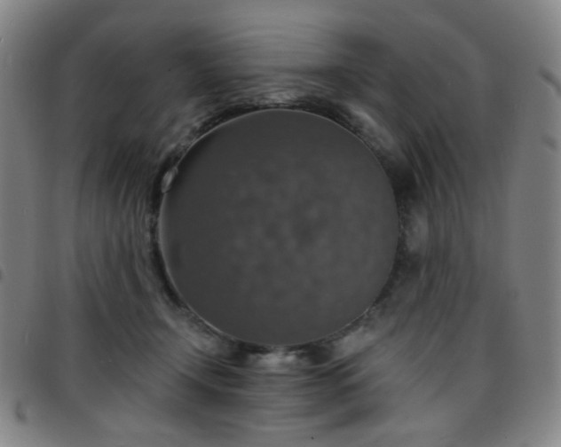 X0000097670366200803071600