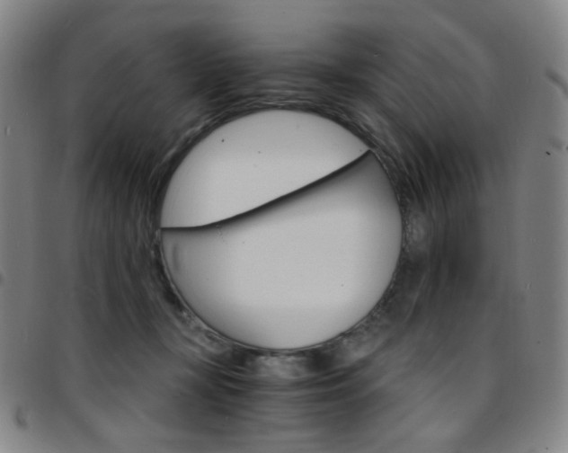 X0000097670367200803071600