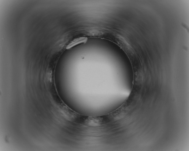 X0000097670368200803071600