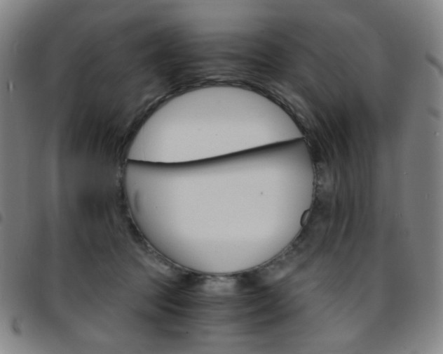 X0000097670369200803071600