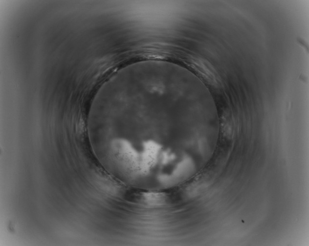 X0000097670371200803071600