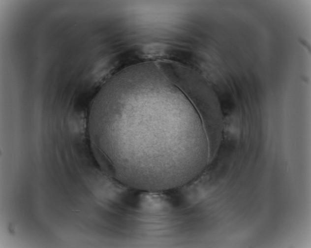 X0000097670372200803071600