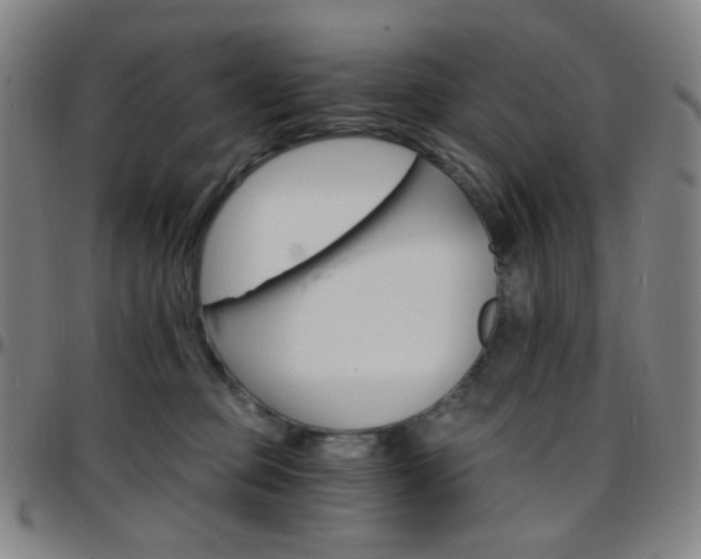X0000097670373200803071600