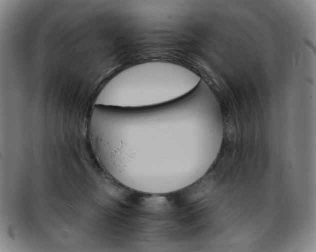 X0000097670374200803071600