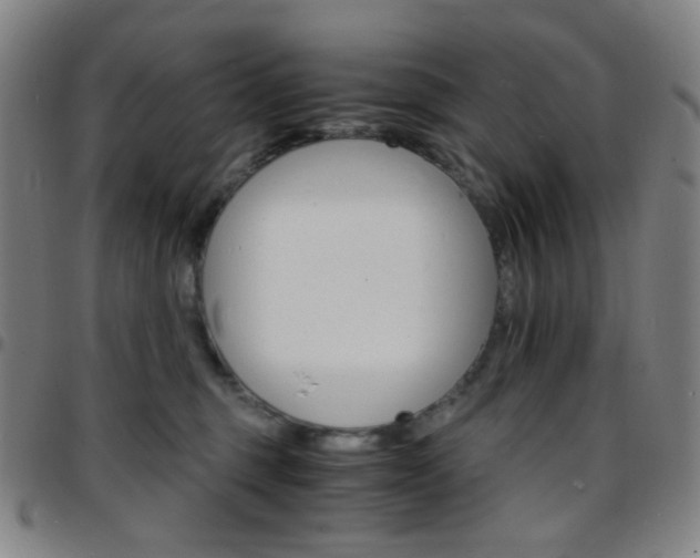 X0000097670375200803071600