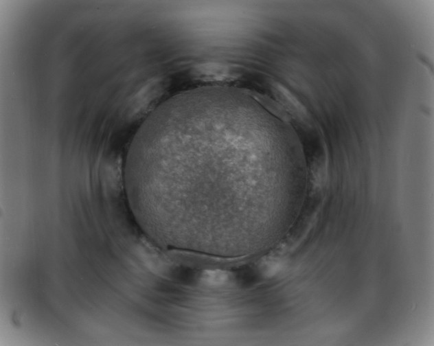 X0000097670376200803071600