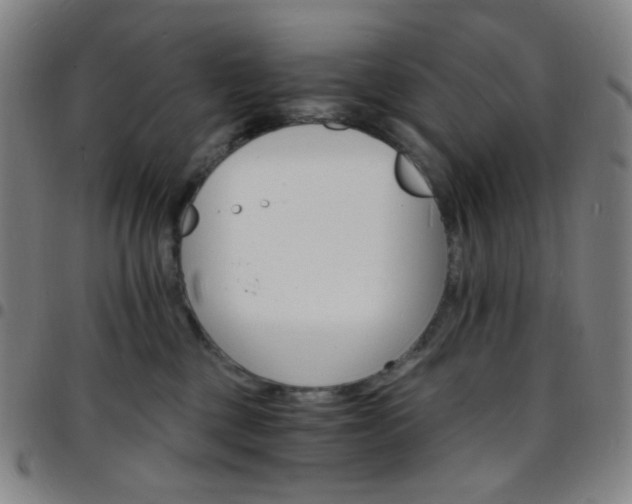 X0000097670377200803071600