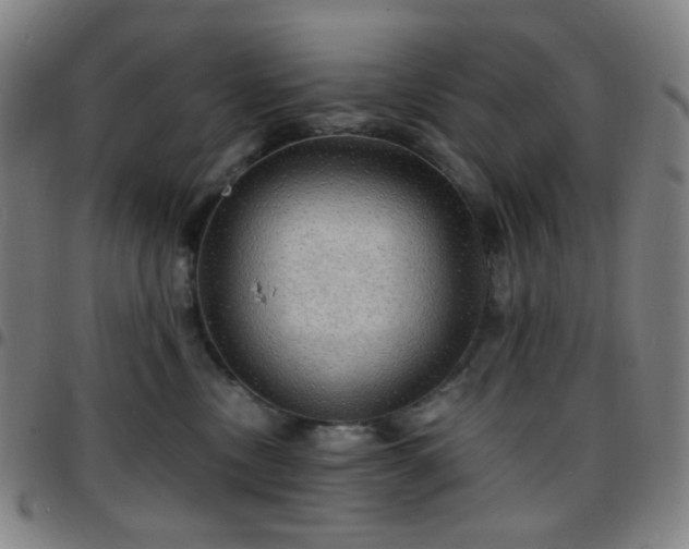 X0000097670378200803071600