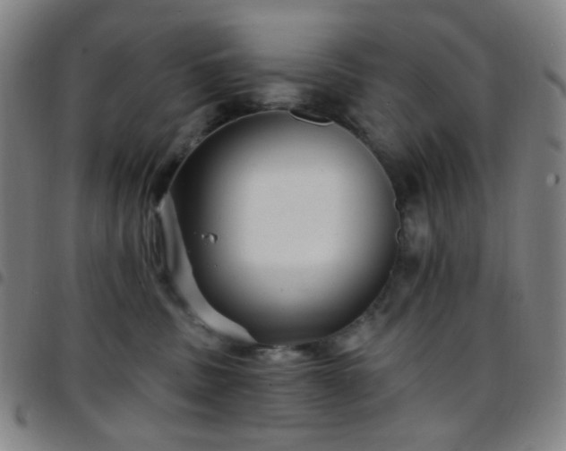 X0000097670379200803071600