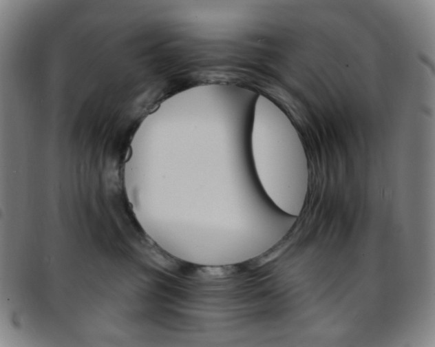 X0000097670381200803071600