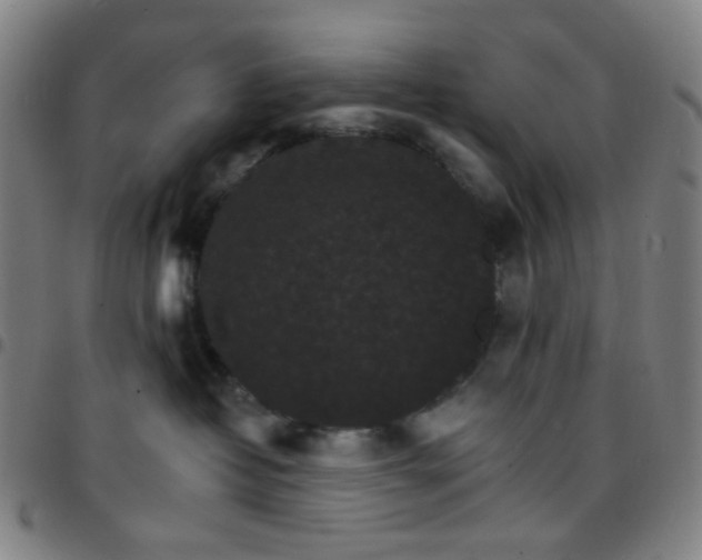 X0000097670382200803071600