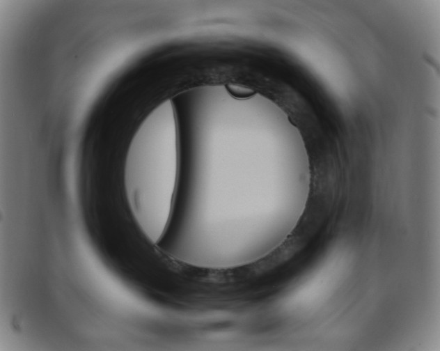 X0000097670383200803071600