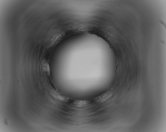 X0000097670384200803071600