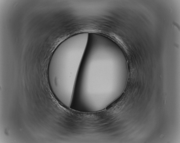X0000097670385200803071559