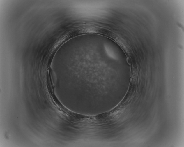 X0000097670386200803071559