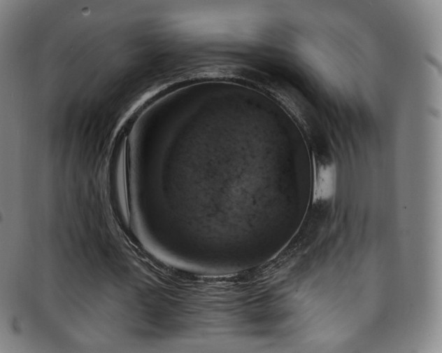 X0000097670387200803071559