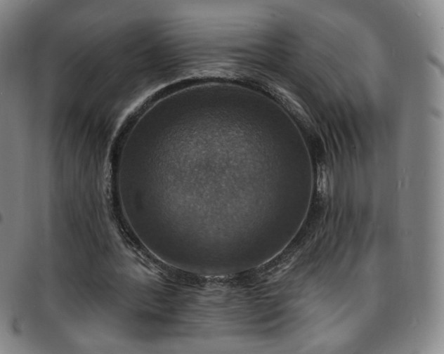 X0000097670388200803071559