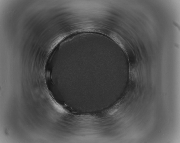 X0000097670389200803071559