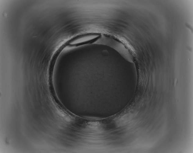 X0000097670391200803071559