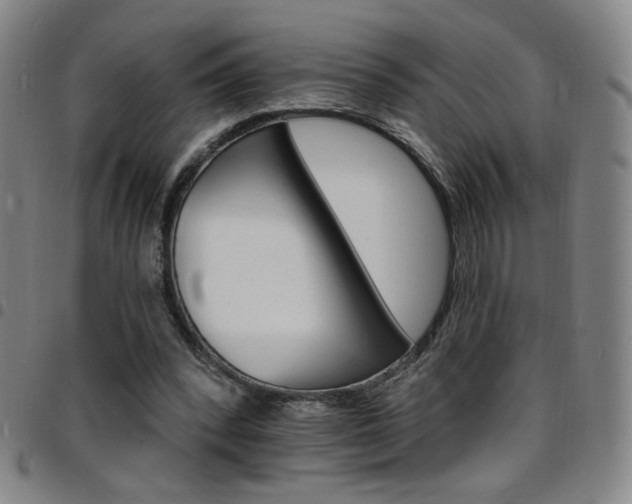 X0000097670392200803071559