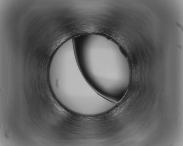 X0000097670393200803071559