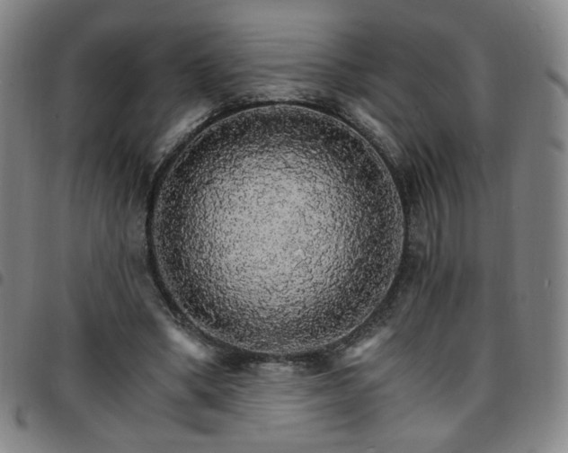 X0000097670394200803071559