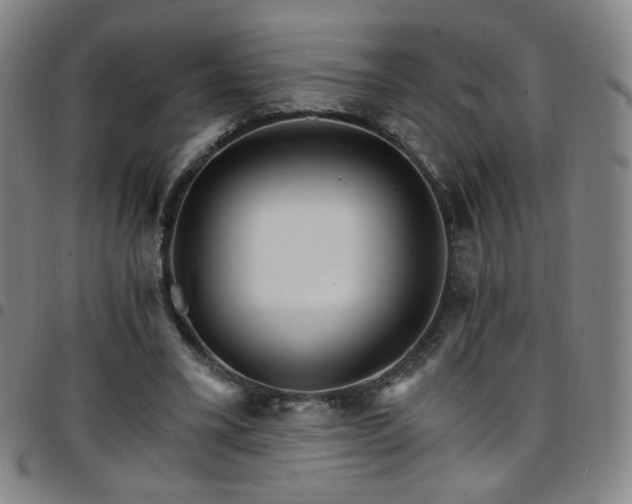 X0000097670395200803071559